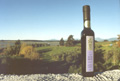 A bottle of New Zealand's finest olive oil from Frog's End Estate 