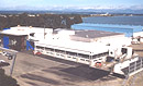 Alliance Group, Nelson Plant