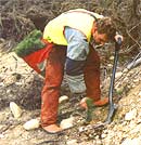 Forest Management Resources Ltd providing the full range services, from planning to planting, thinning, to harvesting. FMR employee pictured, Kane Macbeth.