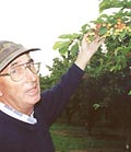 Neville Lawson with his Dawson cherries