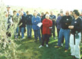 Adva Webber (far right) from Adama Olives demonstrates pruning techniques to Nelson olive growers.