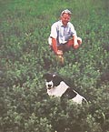 Ross McLay in the tall fescue based pasture