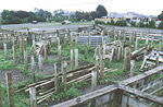 Old wooden yards removed in preparation for the concrete pad and new modular high tensile steel railings, Waimea saleyards, Brightwater.