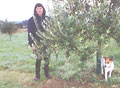 Sarah Bradshaw on her 'Bend in the River' olive grove at Ngatimoti.