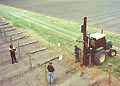 Taege postdriver at work in a Marlborough vineyard