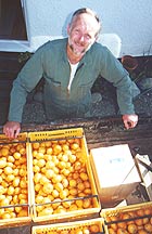 Graeme Murray of Tullybarden with an organic citrus crop ready for juicing. 