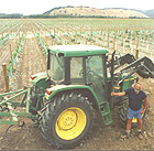 Peter Yealands on his Northback Road sauvignon blanc vineyard development